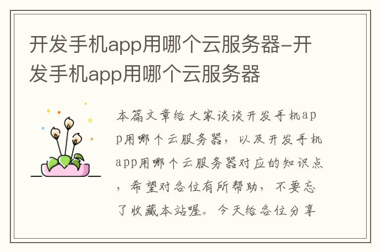 开发手机app用哪个云服务器-开发手机app用哪个云服务器