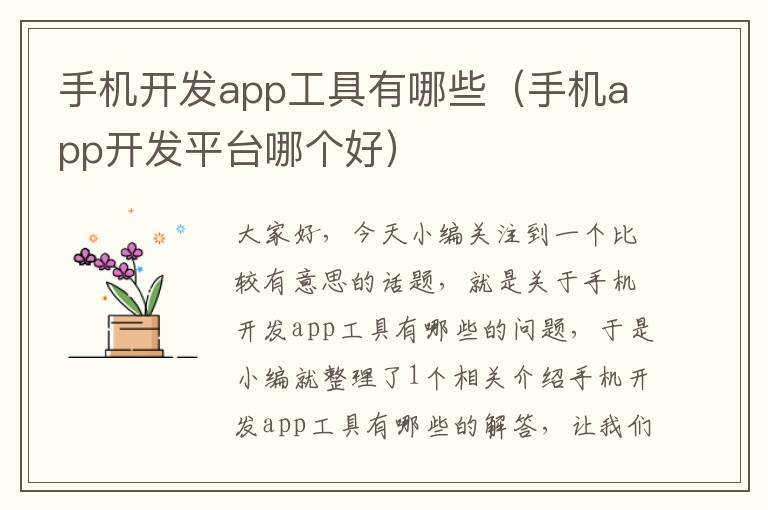 手机开发app工具有哪些（手机app开发平台哪个好）