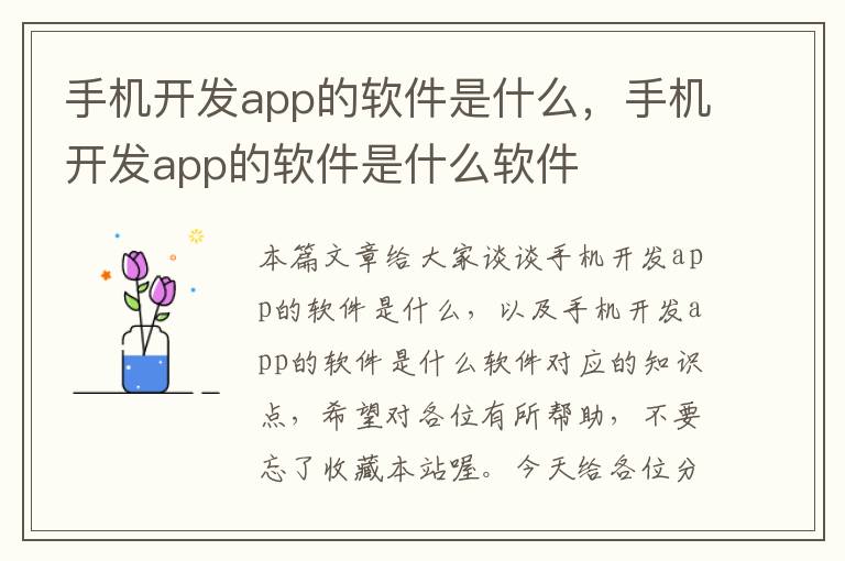 手机开发app的软件是什么，手机开发app的软件是什么软件