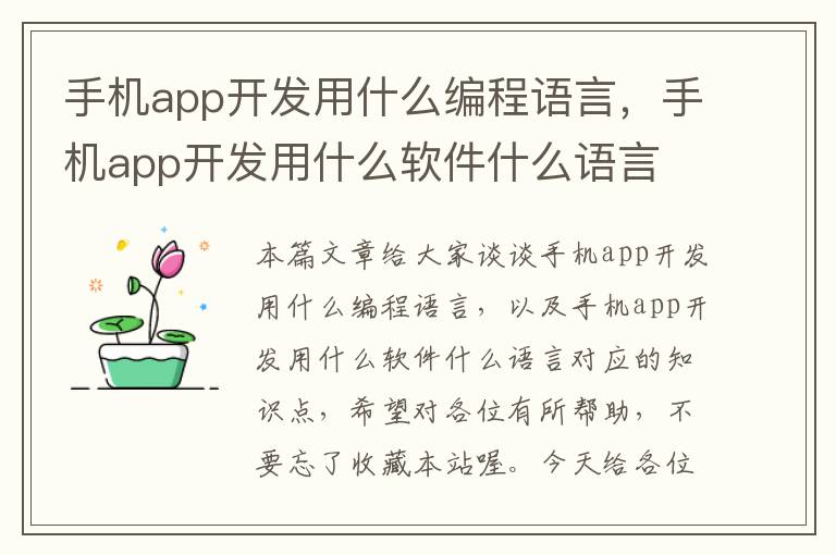 手机app开发用什么编程语言，手机app开发用什么软件什么语言