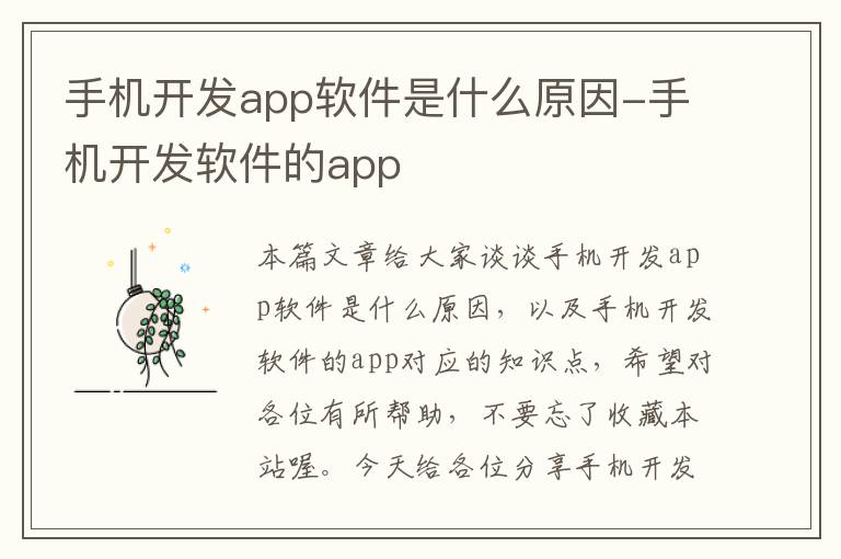 手机开发app软件是什么原因-手机开发软件的app