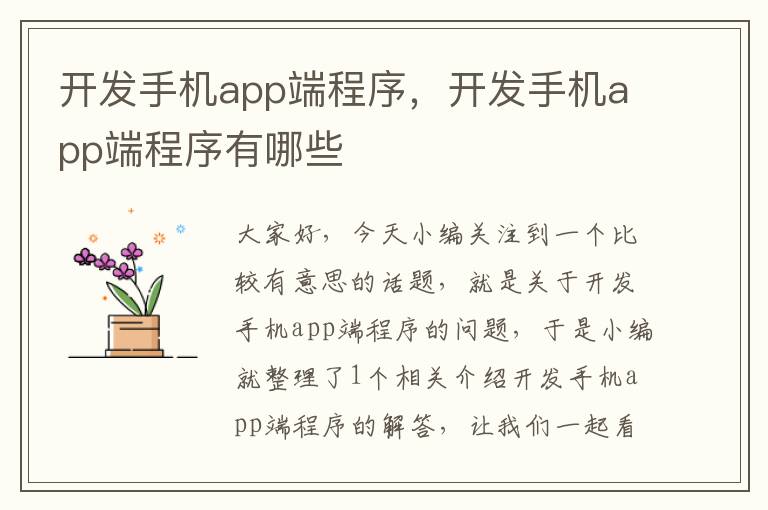 开发手机app端程序，开发手机app端程序有哪些