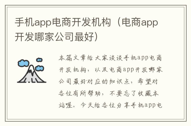 手机app电商开发机构（电商app开发哪家公司最好）