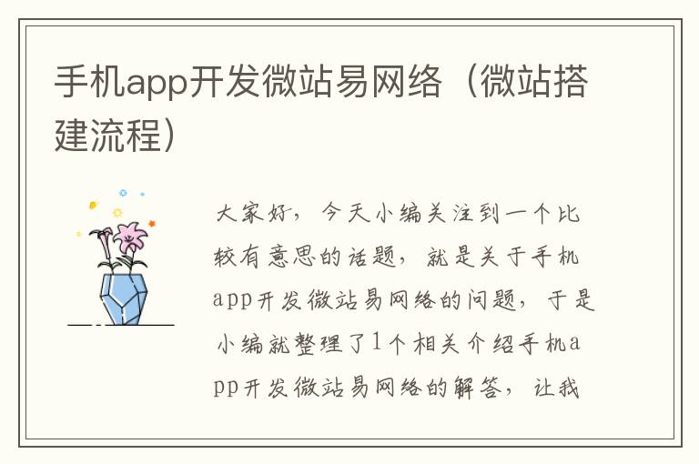 手机app开发微站易网络（微站搭建流程）