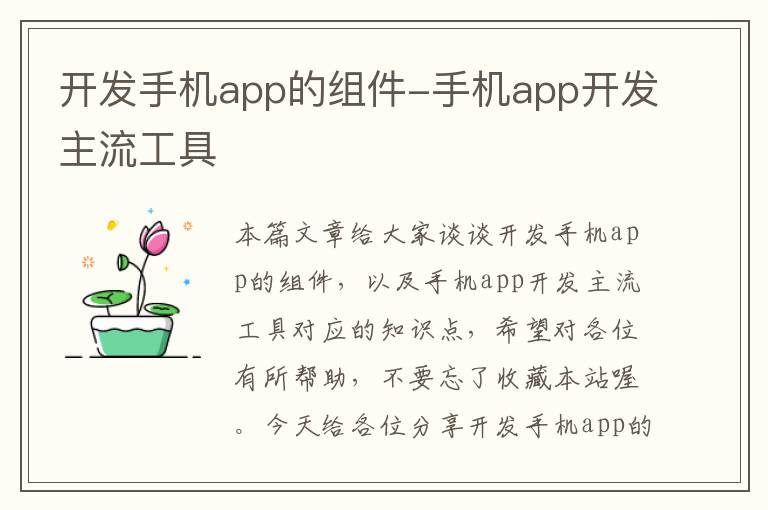 开发手机app的组件-手机app开发主流工具