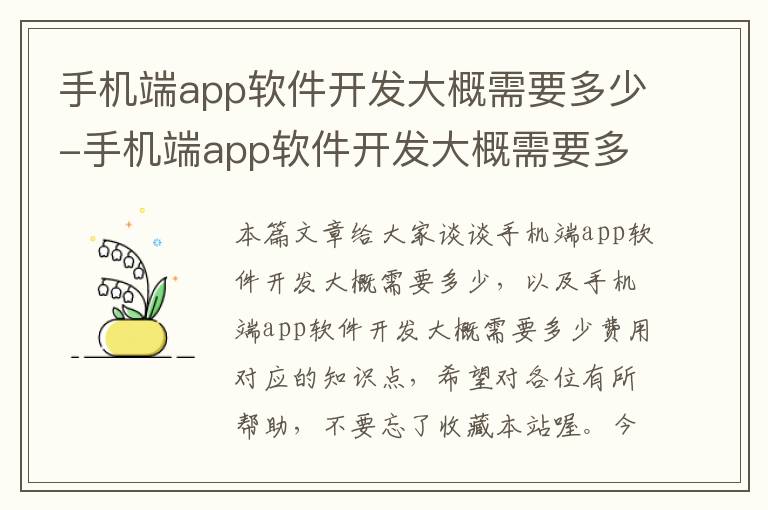 手机端app软件开发大概需要多少-手机端app软件开发大概需要多少费用