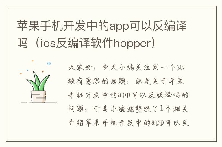 苹果手机开发中的app可以反编译吗（ios反编译软件hopper）