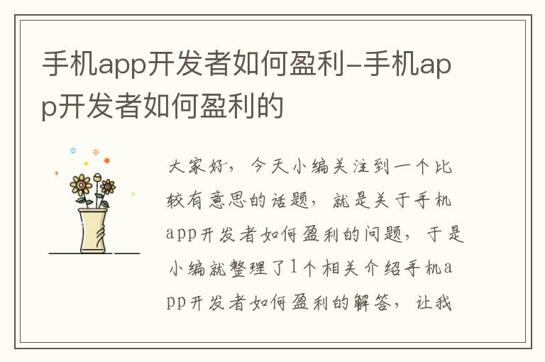 手机app开发者如何盈利-手机app开发者如何盈利的