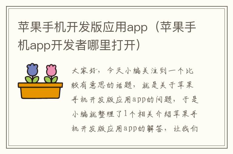 苹果手机开发版应用app（苹果手机app开发者哪里打开）