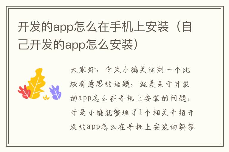 开发的app怎么在手机上安装（自己开发的app怎么安装）