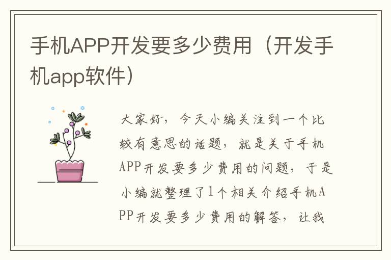 手机APP开发要多少费用（开发手机app软件）