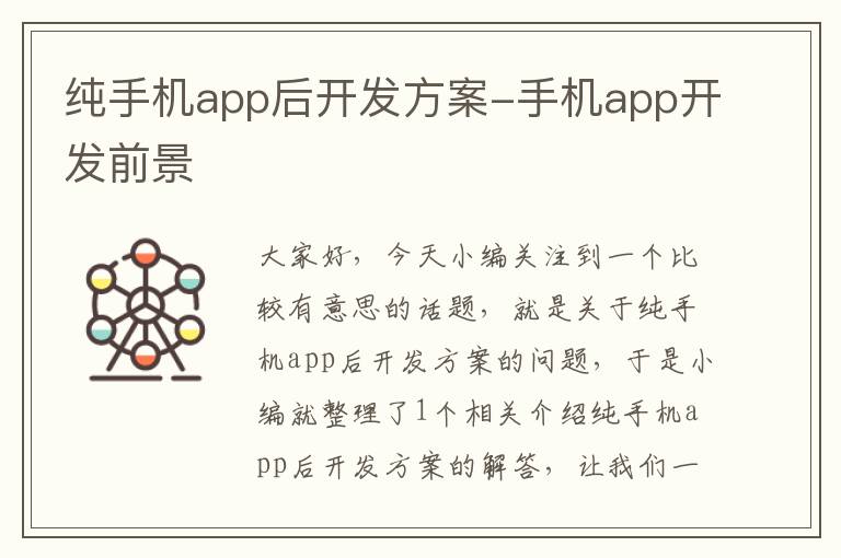 纯手机app后开发方案-手机app开发前景