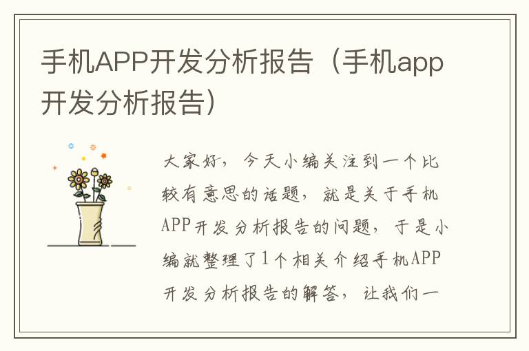 手机APP开发分析报告（手机app开发分析报告）