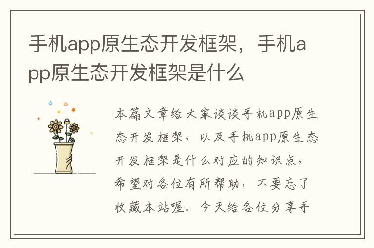 手机app原生态开发框架，手机app原生态开发框架是什么