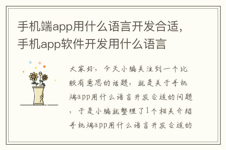 手机端app用什么语言开发合适，手机app软件开发用什么语言