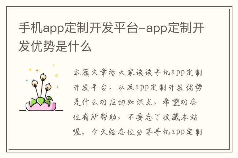 手机app定制开发平台-app定制开发优势是什么