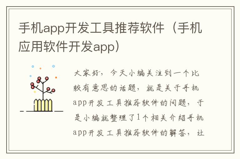 手机app开发工具推荐软件（手机应用软件开发app）