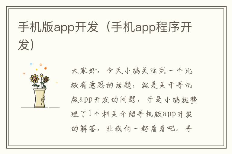 手机版app开发（手机app程序开发）