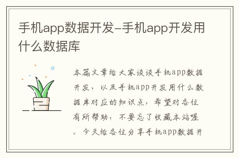 手机app数据开发-手机app开发用什么数据库