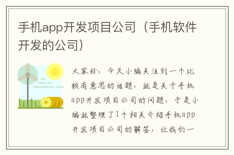 手机app开发项目公司（手机软件开发的公司）