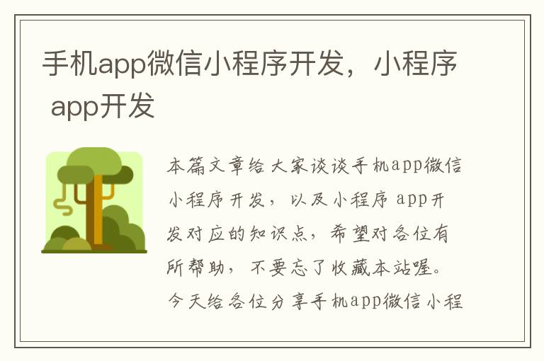 手机app微信小程序开发，小程序 app开发