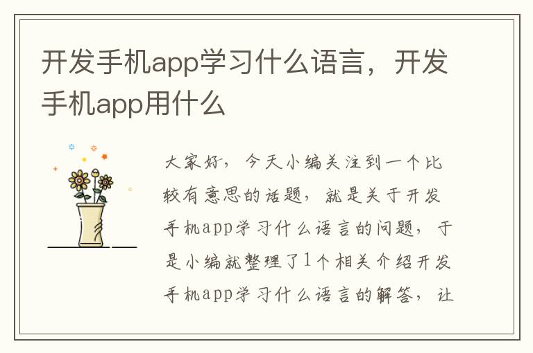 开发手机app学习什么语言，开发手机app用什么