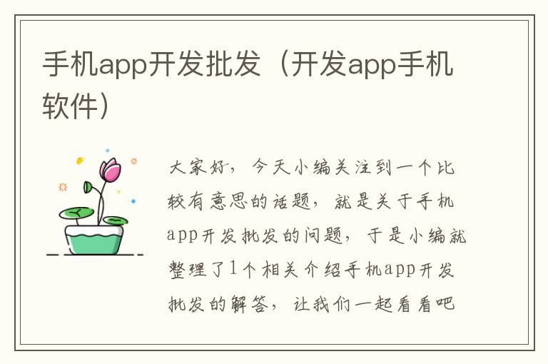 手机app开发批发（开发app手机软件）