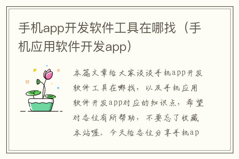 手机app开发软件工具在哪找（手机应用软件开发app）