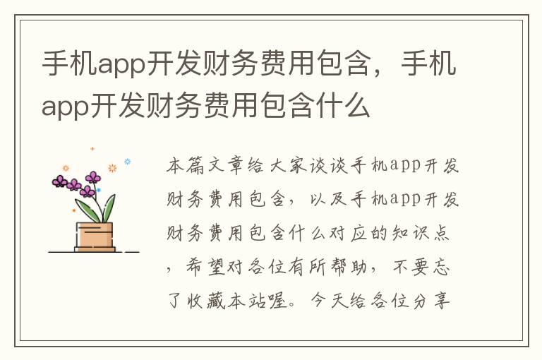 手机app开发财务费用包含，手机app开发财务费用包含什么