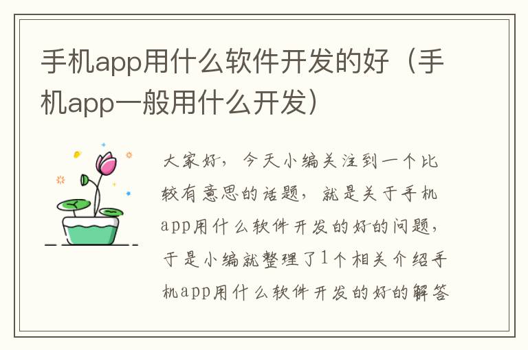 手机app用什么软件开发的好（手机app一般用什么开发）