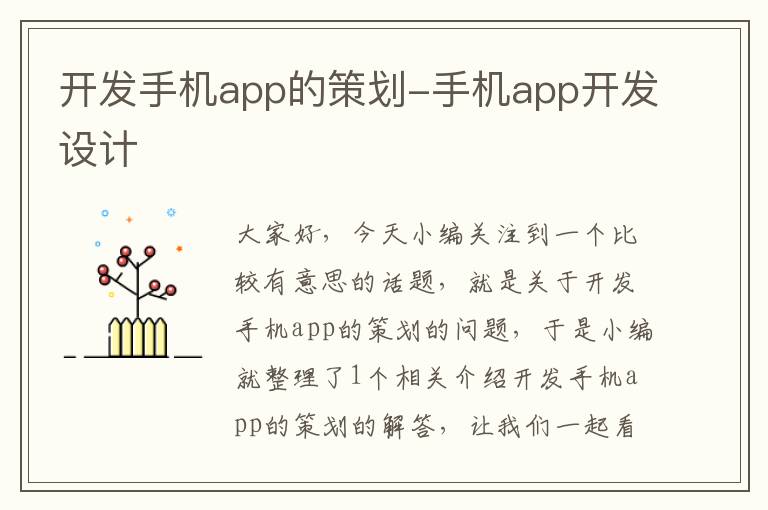 开发手机app的策划-手机app开发设计