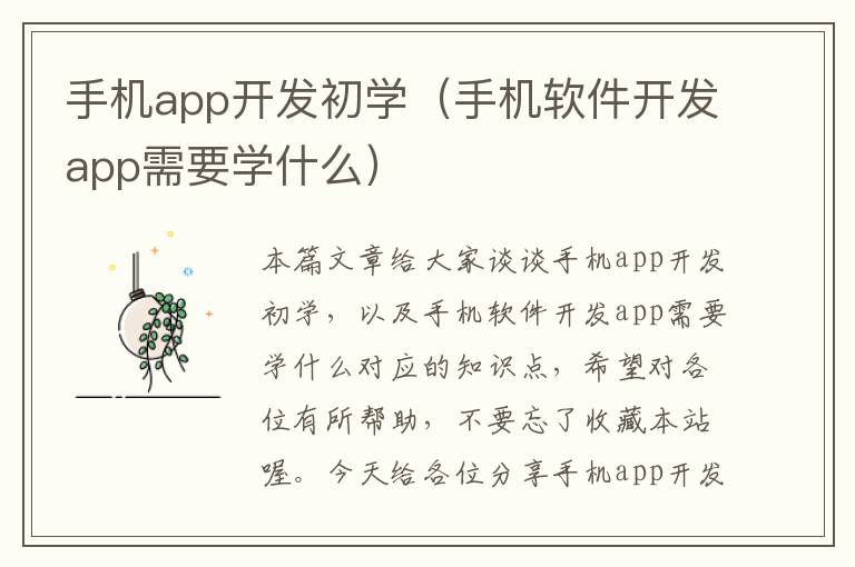 手机app开发初学（手机软件开发app需要学什么）