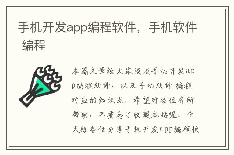 手机开发app编程软件，手机软件 编程