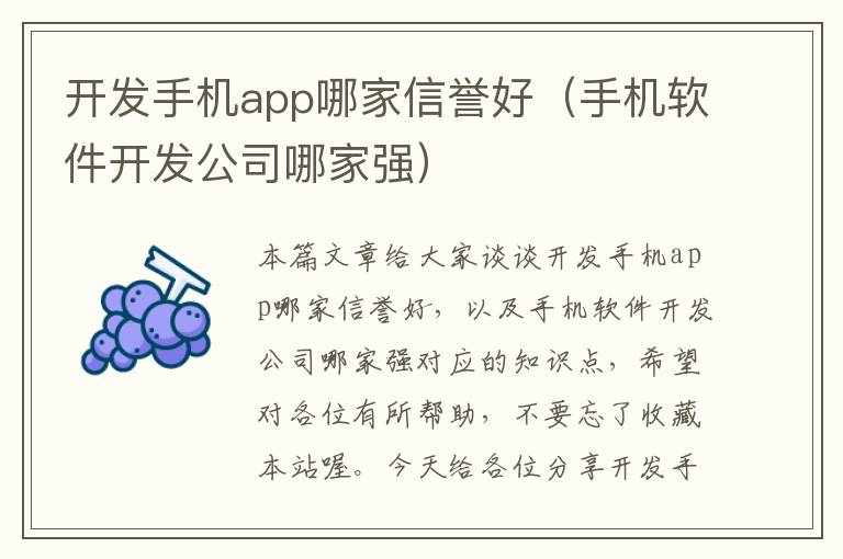 开发手机app哪家信誉好（手机软件开发公司哪家强）