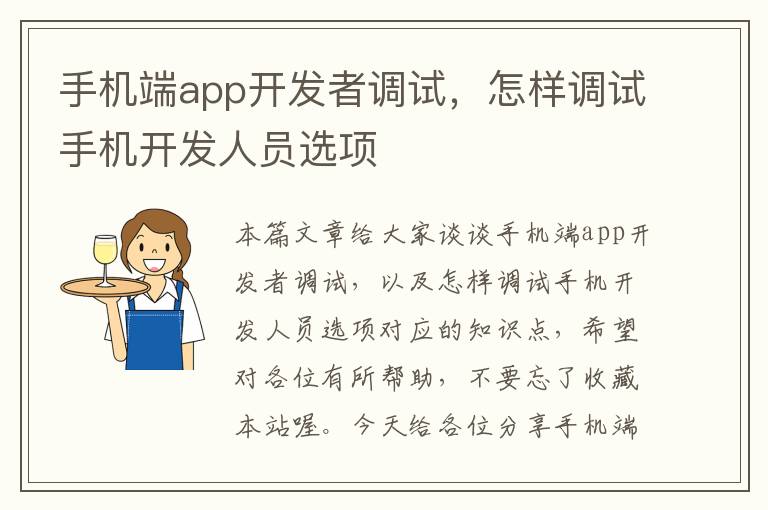 手机端app开发者调试，怎样调试手机开发人员选项