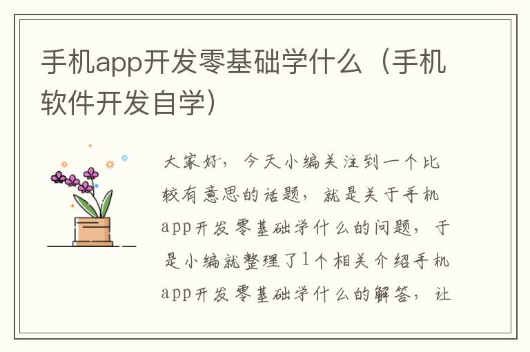 手机app开发零基础学什么（手机软件开发自学）