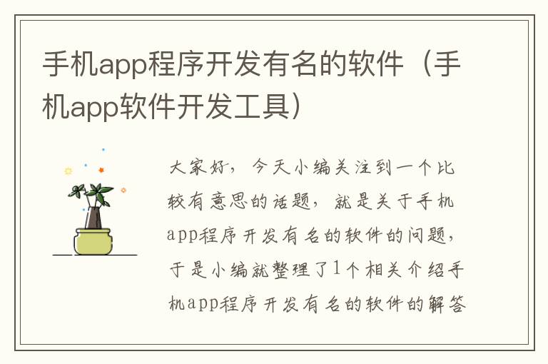 手机app程序开发有名的软件（手机app软件开发工具）