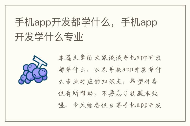 手机app开发都学什么，手机app开发学什么专业