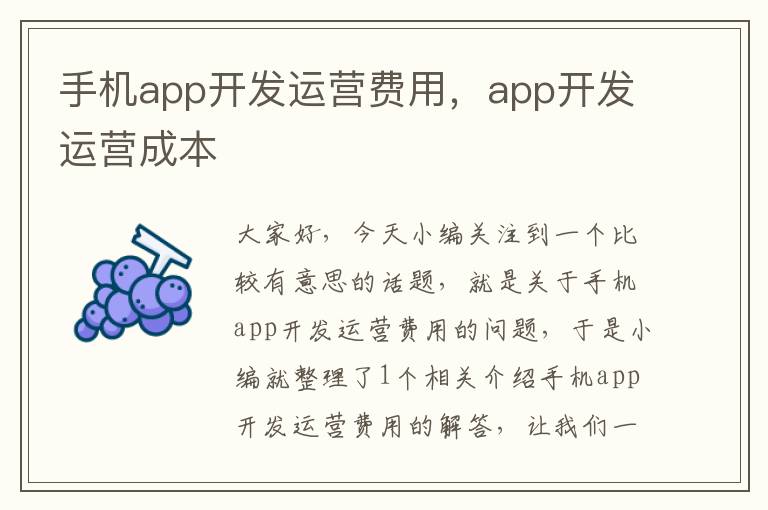 手机app开发运营费用，app开发运营成本