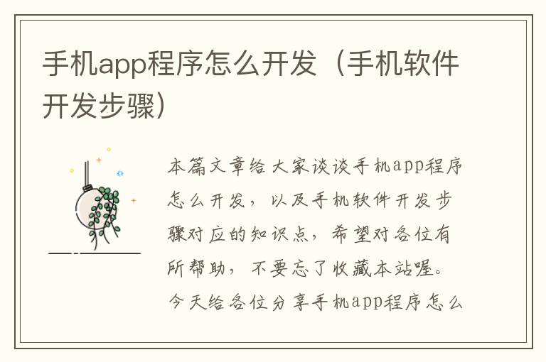 手机app程序怎么开发（手机软件开发步骤）