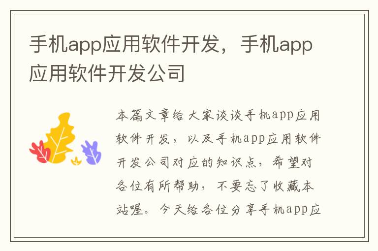 手机app应用软件开发，手机app应用软件开发公司