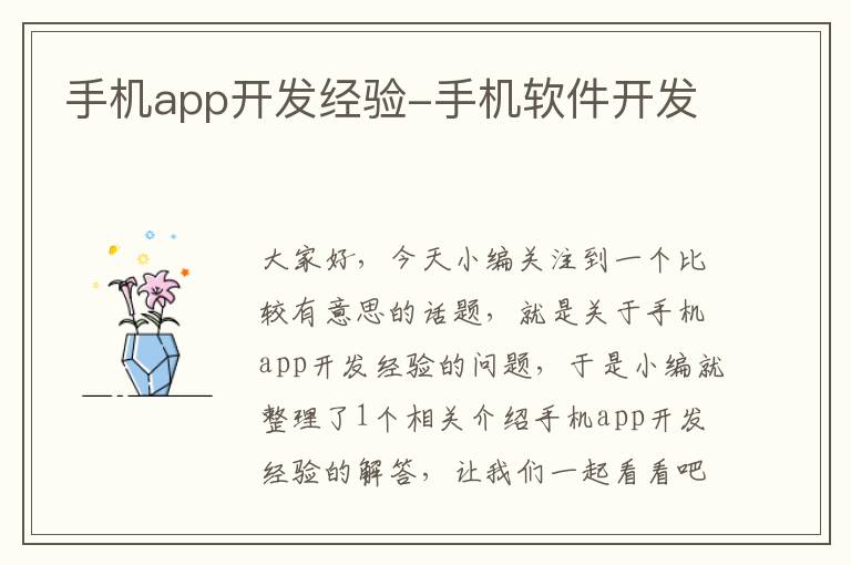 手机app开发经验-手机软件开发