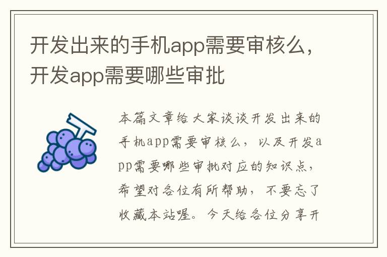 开发出来的手机app需要审核么，开发app需要哪些审批