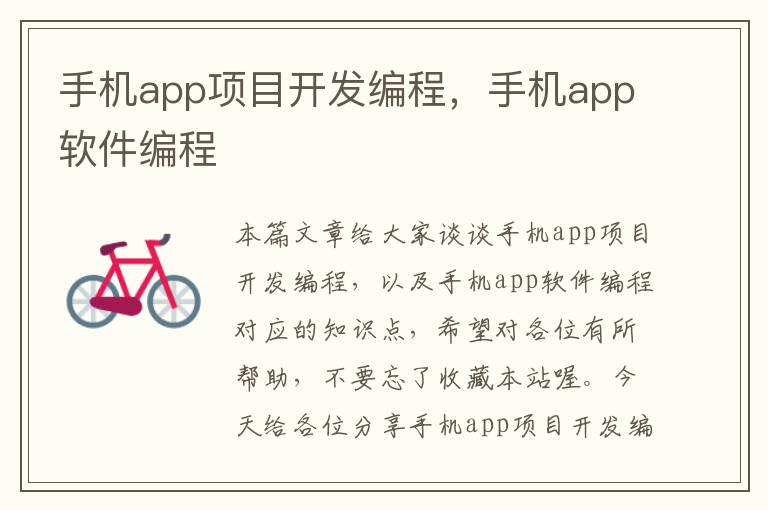 手机app项目开发编程，手机app软件编程