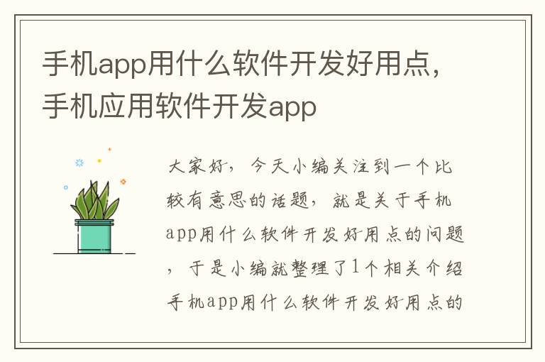 手机app用什么软件开发好用点，手机应用软件开发app