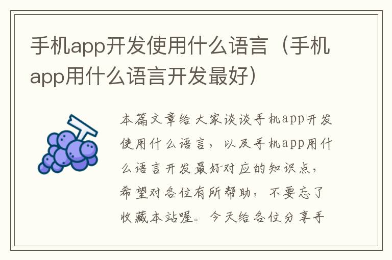 手机app开发使用什么语言（手机app用什么语言开发最好）