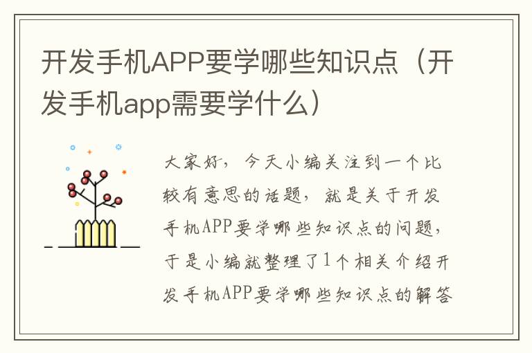 开发手机APP要学哪些知识点（开发手机app需要学什么）