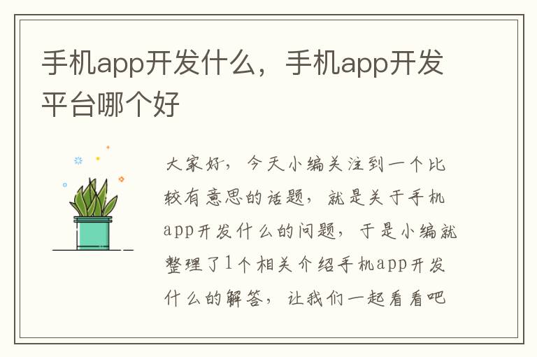 手机app开发什么，手机app开发平台哪个好