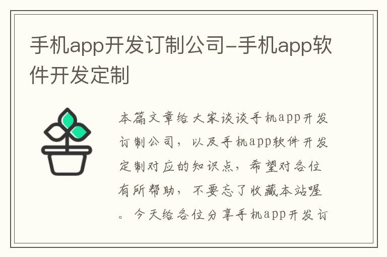 手机app开发订制公司-手机app软件开发定制