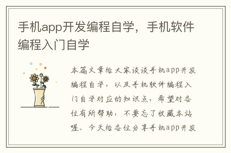 手机app开发编程自学，手机软件编程入门自学